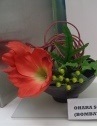 Ikebana by Ohara School of Ikebana Bombay Chapter