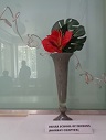 Ikebana by Ohara School of Ikebana Bombay Chapter